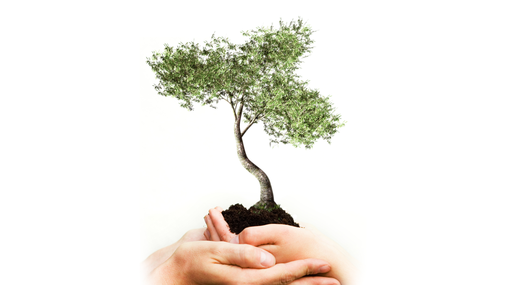 Naturopathy
